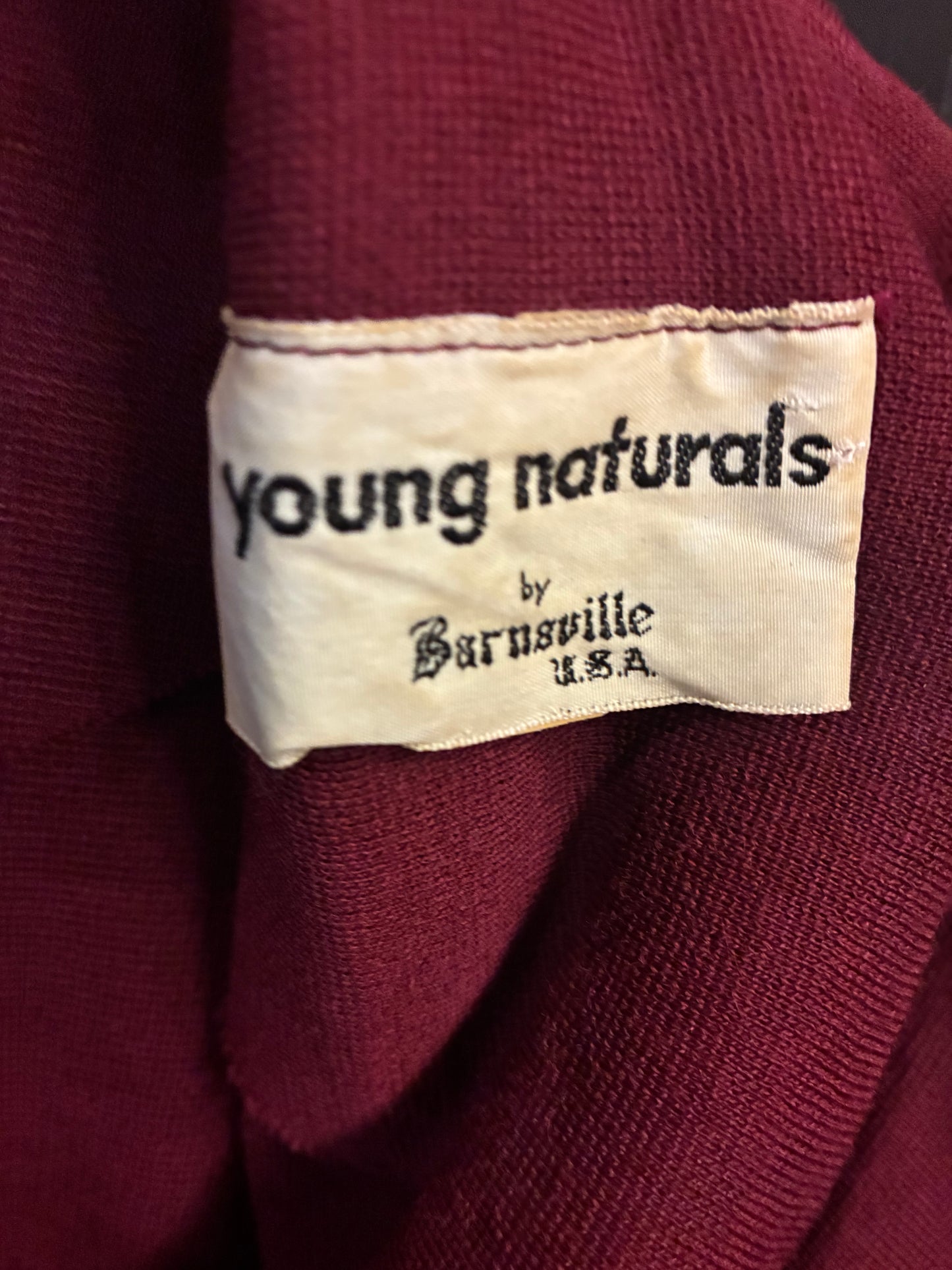 1960s Barnsville Dress