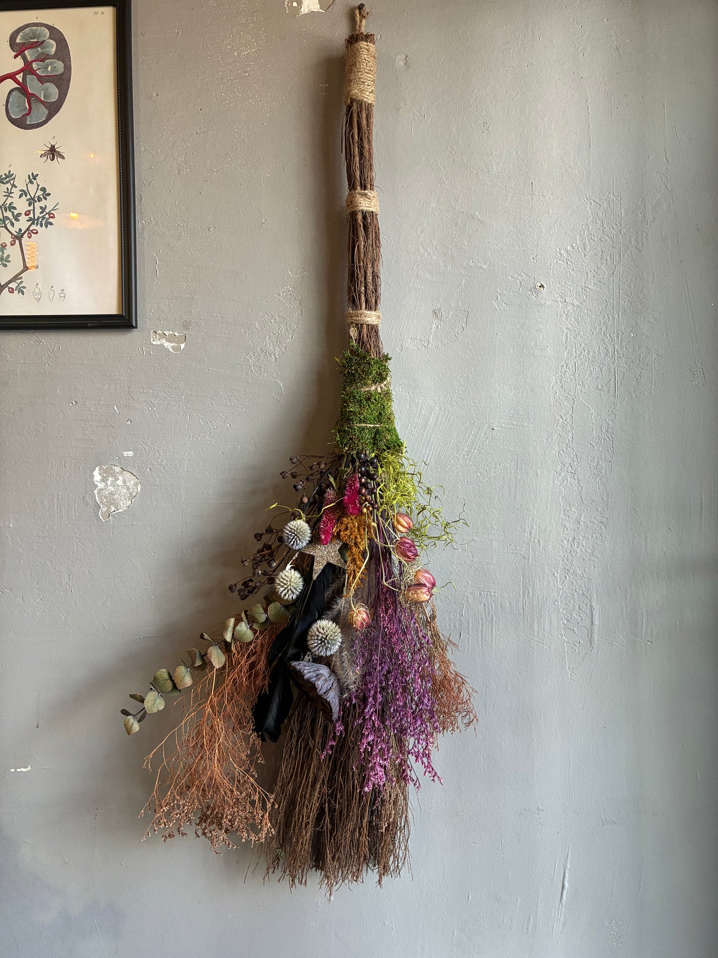 Besom Broom