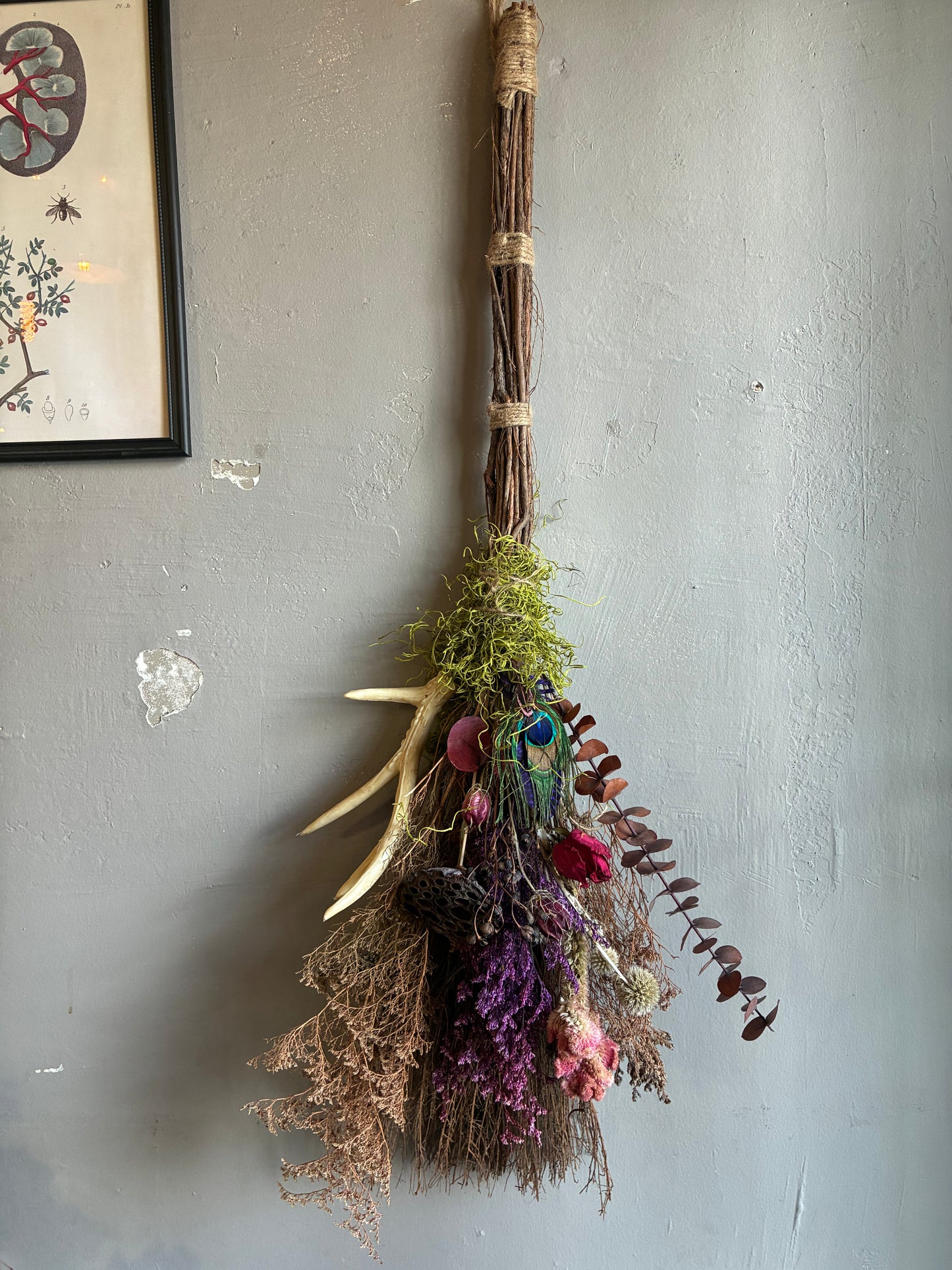 Besom Broom