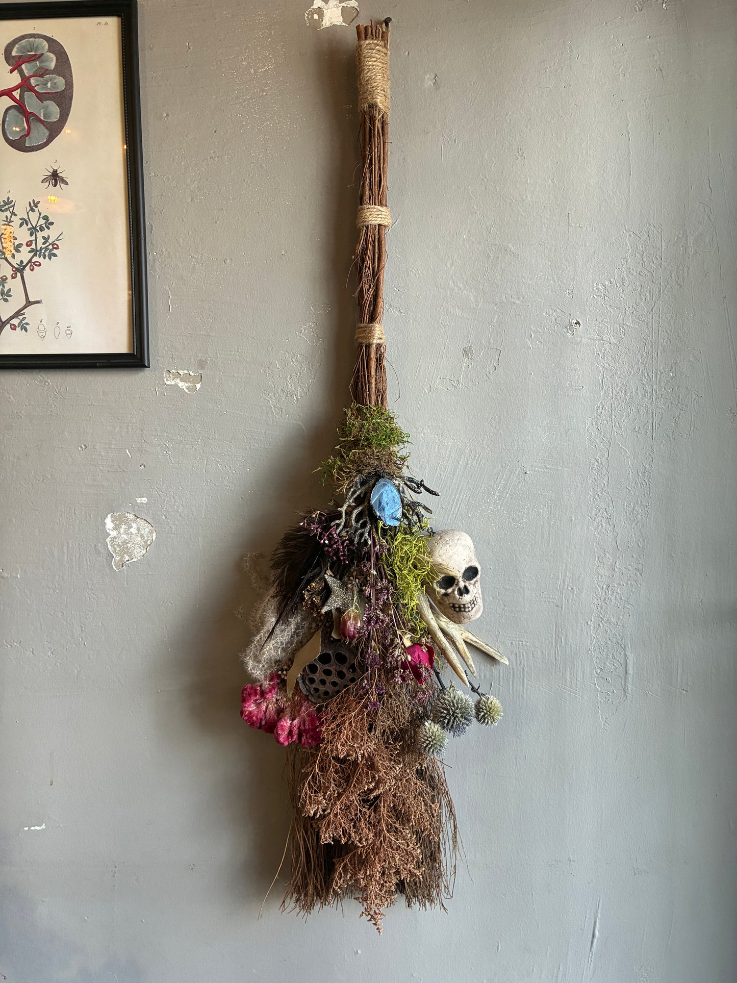 Besom Broom